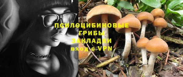 первитин Богородицк