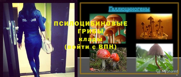 мескалин Белокуриха