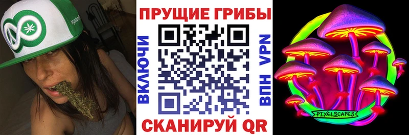 где купить наркоту  Ярославль  сайты даркнета телеграм  Галлюциногенные грибы Magic Shrooms 